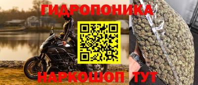 spice Абинск