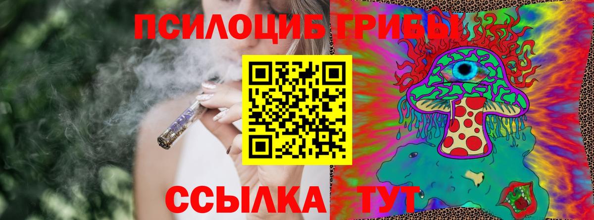 цена   Галлюциногенные грибы GOLDEN TEACHER  Вход с VPN  Аргун 